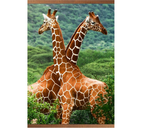 Пленочный инфракрасный обогреватель Домашний очаг Жирафы 500Вт