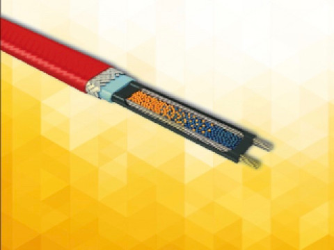 В Барнауле продолжается эксперимент