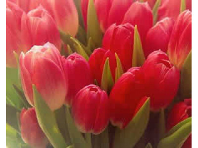 Женский день 8 марта!