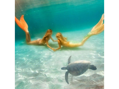 Вносим вклад в киноиндустрию