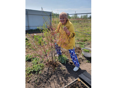 Как вырастить редиску на месяц раньше соседей