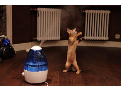 Увлажнители воздуха для заботы о домашних любимцах! 