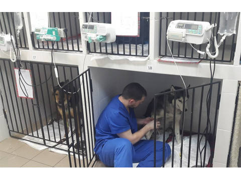 Установка теплого пола под кафель в ветеринарной клинике может принести несколько преимуществ владельцам клиники. 