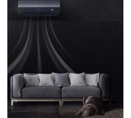 Casarte СAS25MW1/R3-B / 1U25MW1/R3