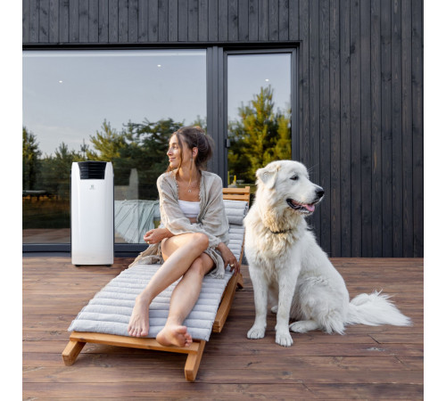 Мобильный кондиционер Electrolux EACM-09 RK/N6