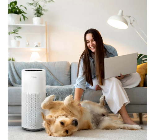 Увлажнитель воздуха TION Iris