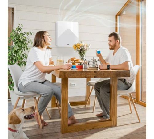 TION Бризер 4S Base